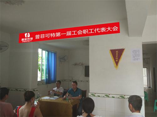主席和代總副本.jpg